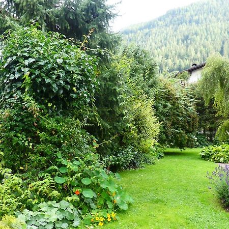 Ferienwohnungen Familie Wetzlinger Bad Kleinkirchheim Dış mekan fotoğraf