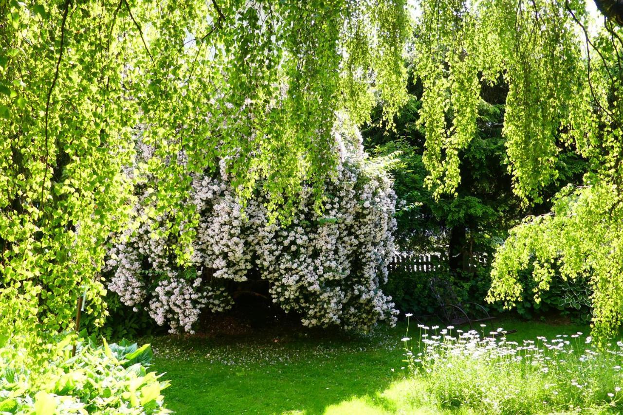 Ferienwohnungen Familie Wetzlinger Bad Kleinkirchheim Dış mekan fotoğraf