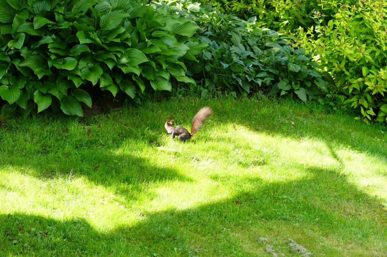 Ferienwohnungen Familie Wetzlinger Bad Kleinkirchheim Dış mekan fotoğraf